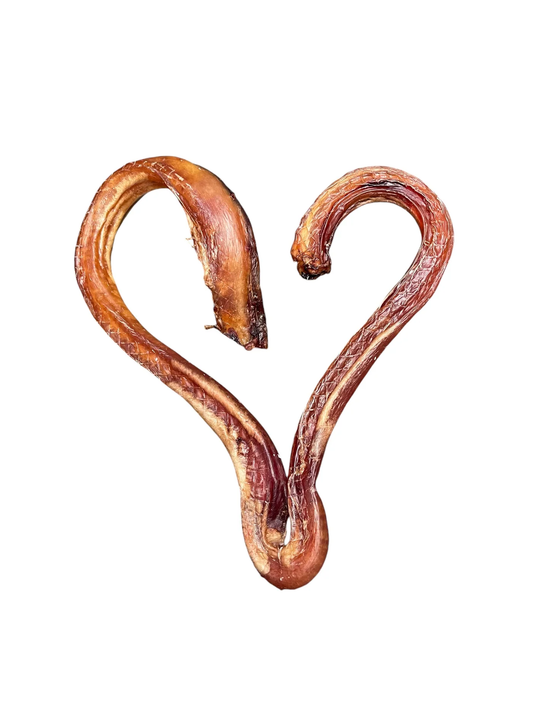 Ancestral Raw Dehydrated Bull Pizzle in a heart shape