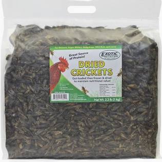 Dried Crickets 2.2 lb.