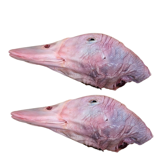 Raw Duck Heads- 2 Count