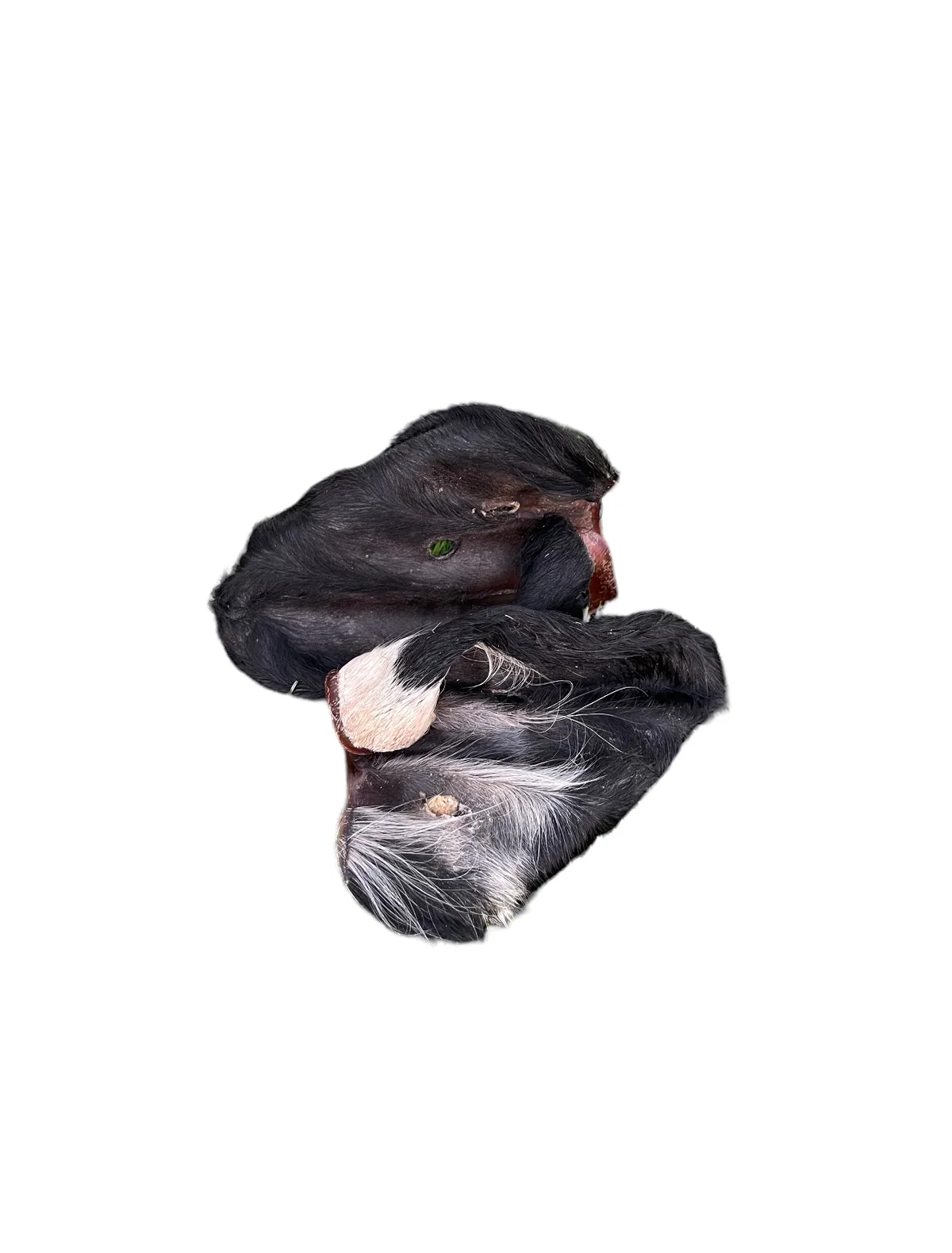 Ancestral Raw Dehydrated Beef Ears, 50 pieces