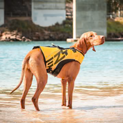 Dog Flotation Device X2 BOOST (DFD X2 BOOST)