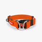 DOUBLE-UP COLLAR