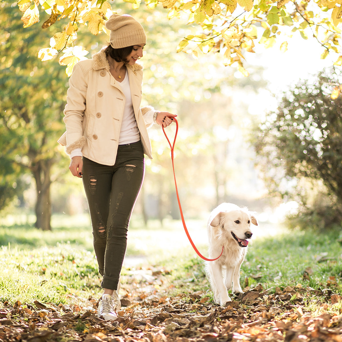 Viper Biothane Long Line 15 ft Dog Lead