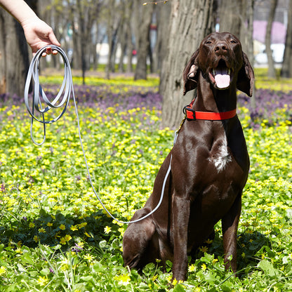 Viper Biothane Working Dog Lead, 6 Feet Long