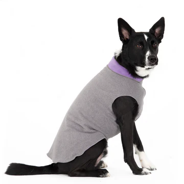 Duluth Double Fleece - Charcoal/Lavender