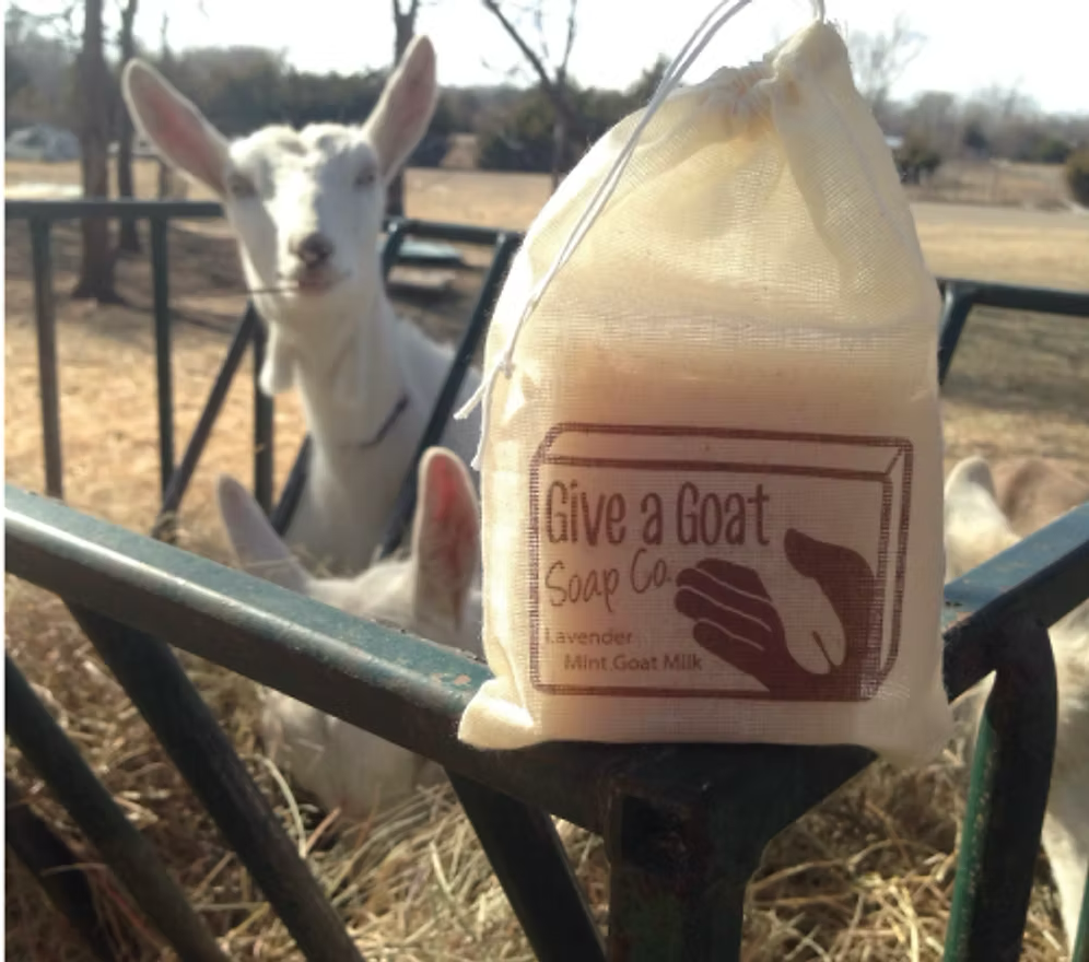 Handmade Goat's Milk Soap for Pets and their People- 4.8oz Bars (Case of 6)