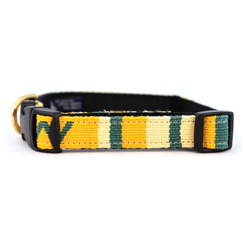 A Tail We Could Wag Collars