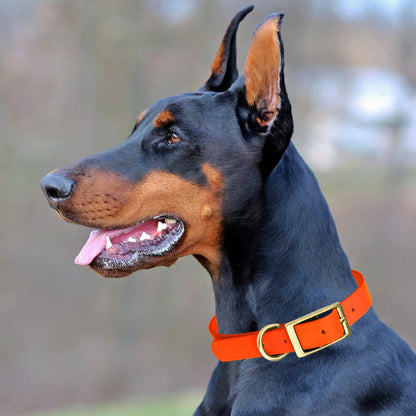 Viper Biothane Waterproof Collar - Brass Hardware - Size M (15 to 18 inches)