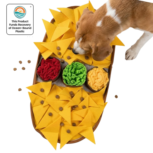 PawzNDogz Cheesy Nachos Snuffle Mat with a beagle sniffing for treats