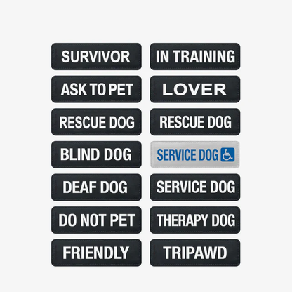 CONVERT/EXPRESS HARNESS BADGES