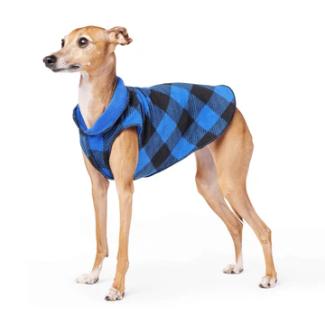 Duluth Double Fleece - Blue Buffalo/Cobalt