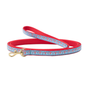 Party in the USA Small Breed Dog Lead