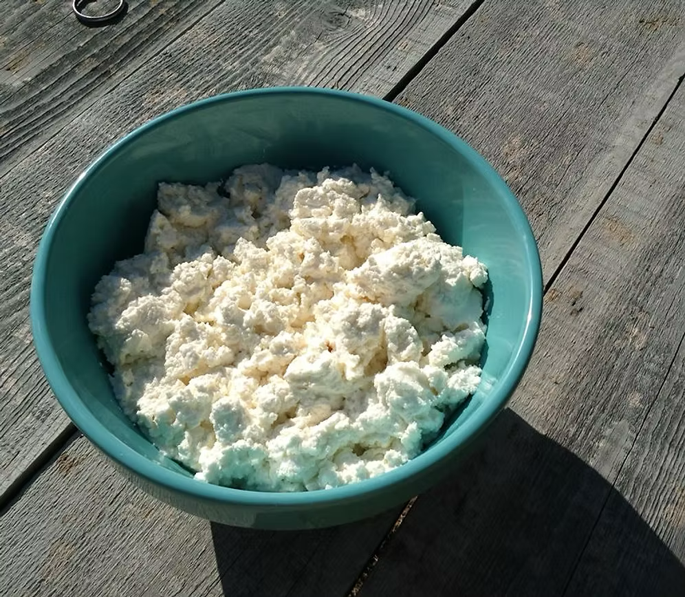 Artisan Goat Cheese Treats for Dogs and Cats- 5oz (Case of 12)