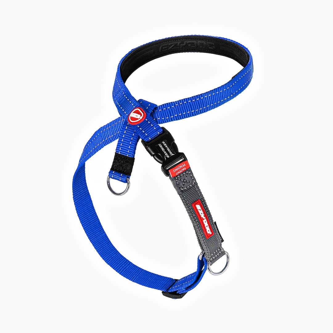 CROSSCHECK HARNESS