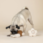 Pug dog playing with Fringe Studio MEADOW BLOOMS MIX MATERIAL PATCHWORK MINI DOG TOY 3 PIECE SET