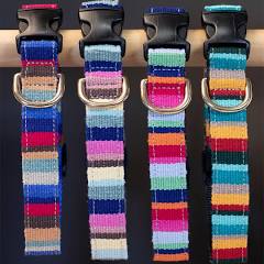 A Tail We Could Wag Collars