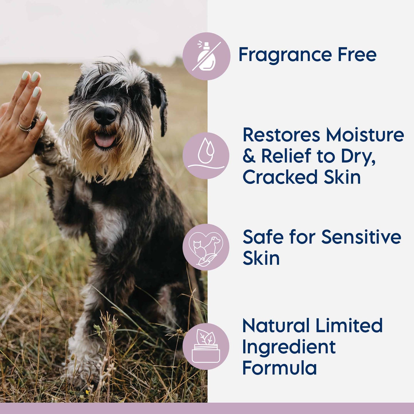 Swedencare Lyxvara Grooming