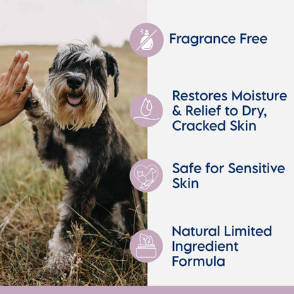 Swedencare Lyxvara Grooming