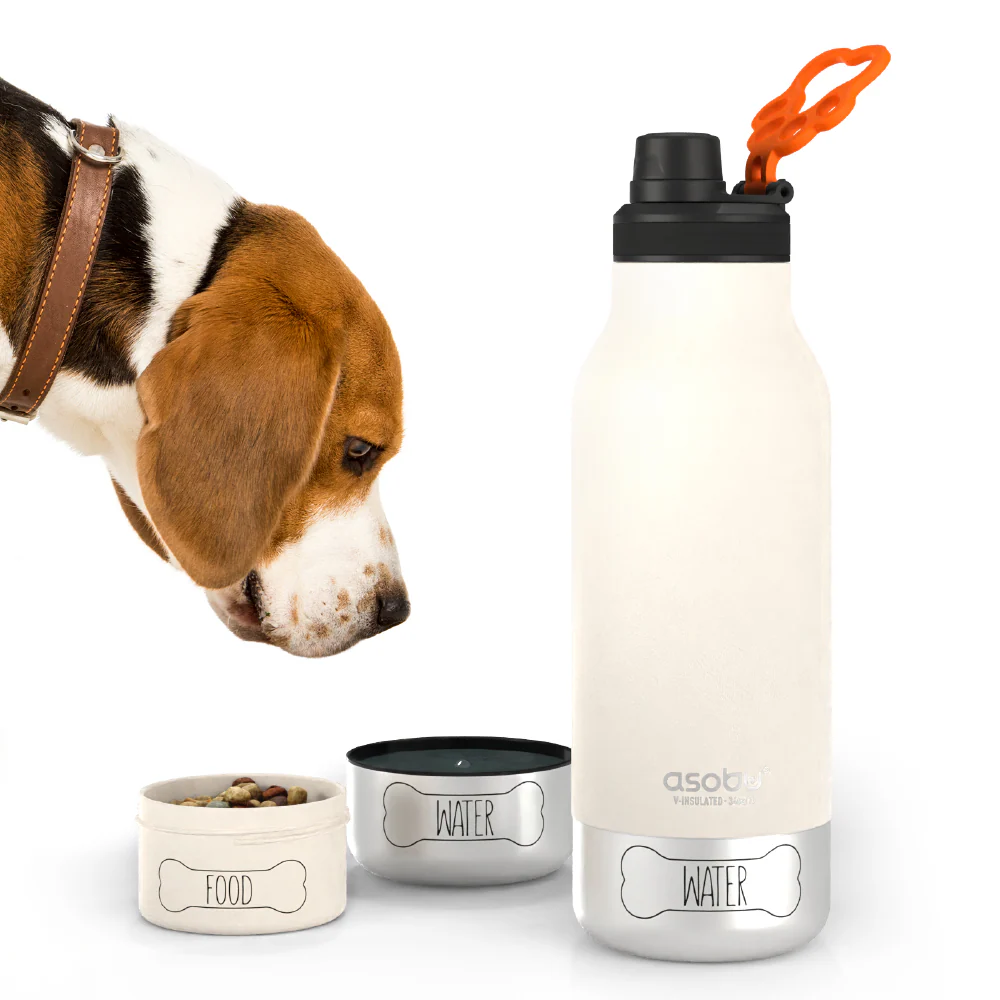 Asobu Barky Bottle- 34oz with a beagle looking at food and water bowls