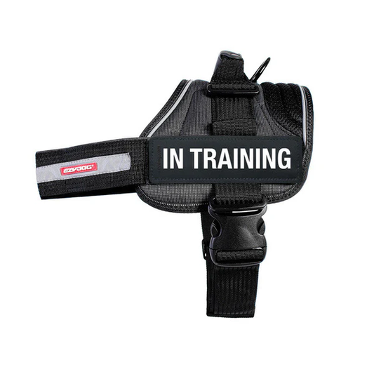 CONVERT/EXPRESS HARNESS BADGES