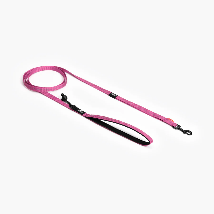 SOFT TRAINER LEASHES W/ TRAFFIC CONTROL- 6 FOOT