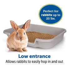 BunnyGoHere- Rabbit Litter Box