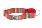 All Webbing Training Collar