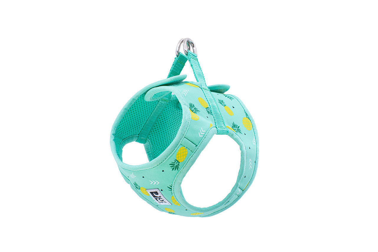 Step In Cirque Harness