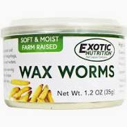 Canned Wax Worms