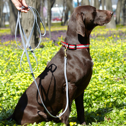 Viper Biothane Working Dog Lead, 4 Feet Long