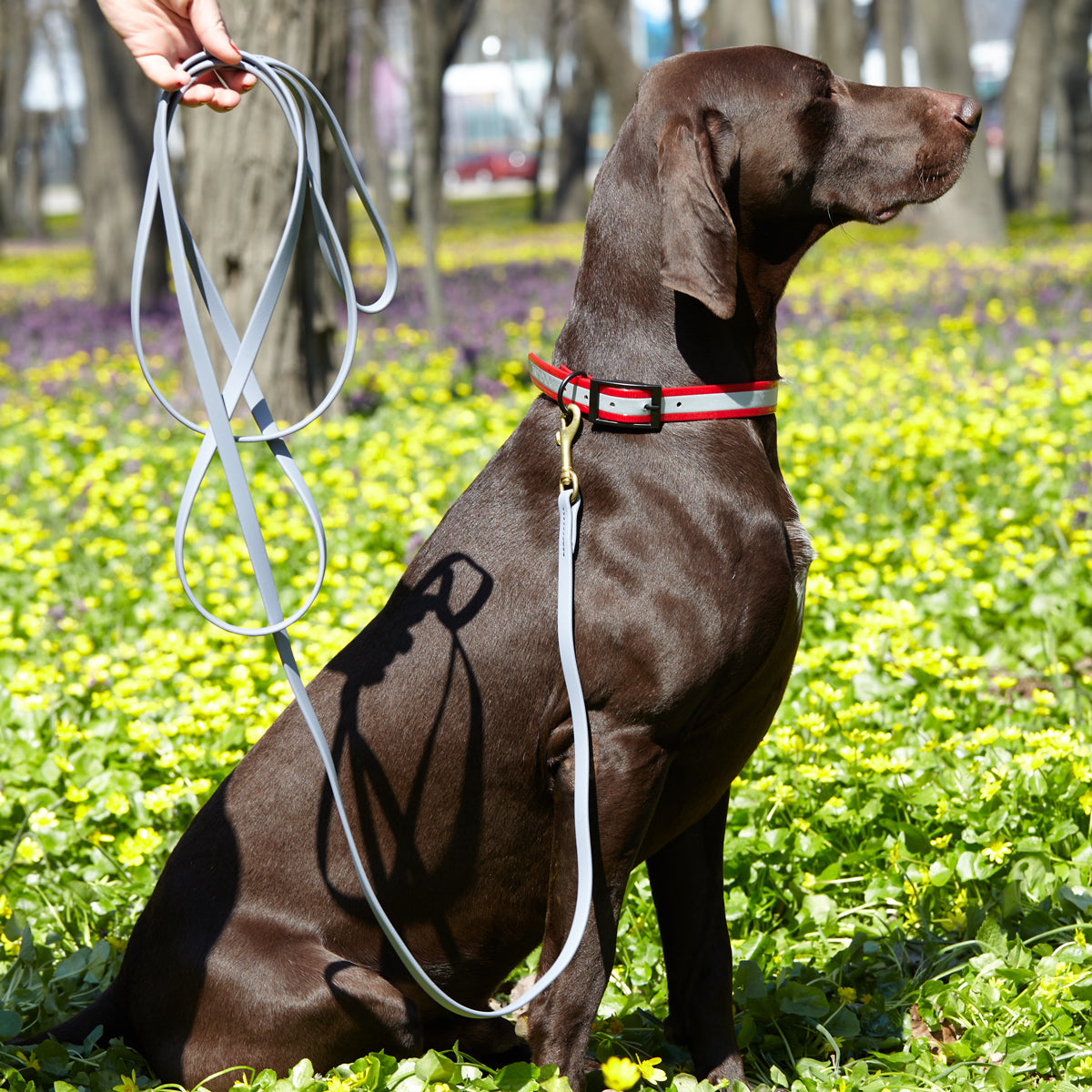 Viper Biothane Working Dog Lead, 6 Feet Long