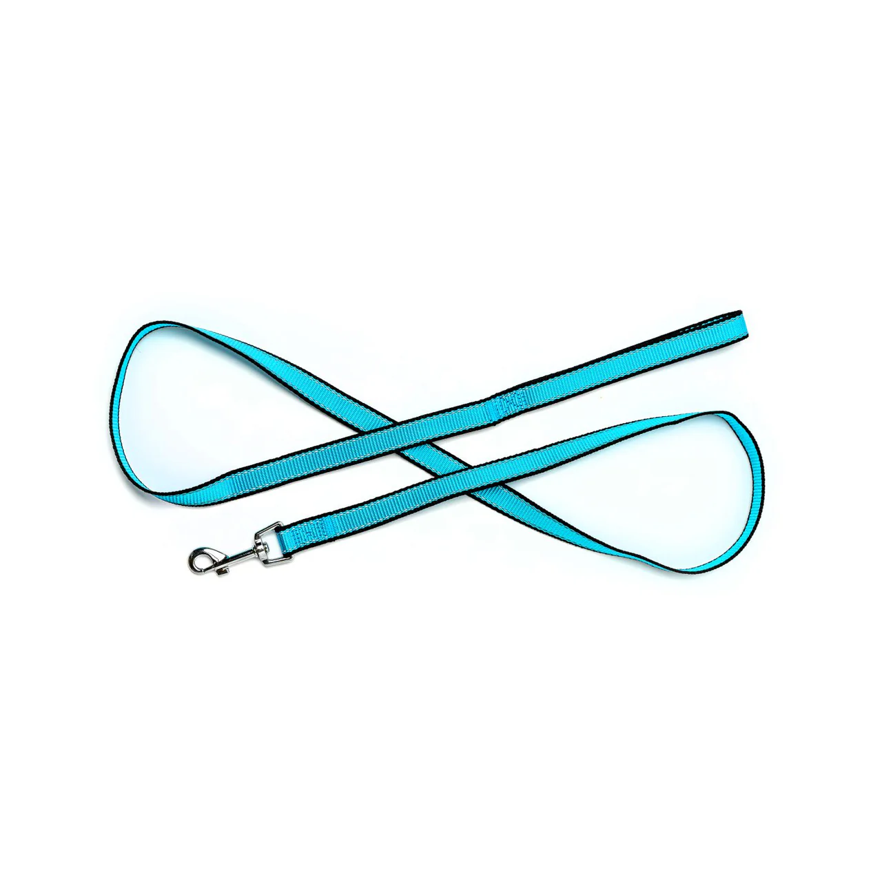 Aqua blue dog leash with black trim and silver metal clasp