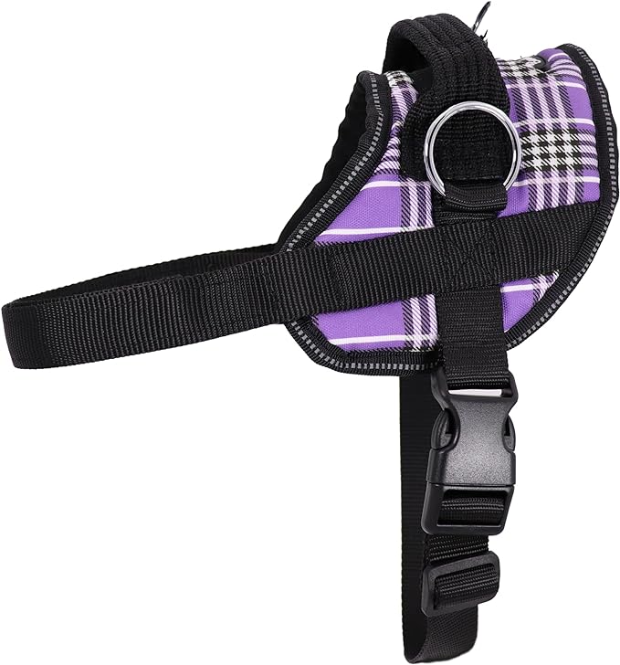 Purple plaid dog harness with black straps and silver D-ring