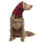 Snood