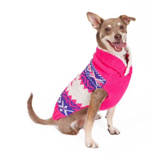 Dog wearing a pink, white, and purple patterned sweater