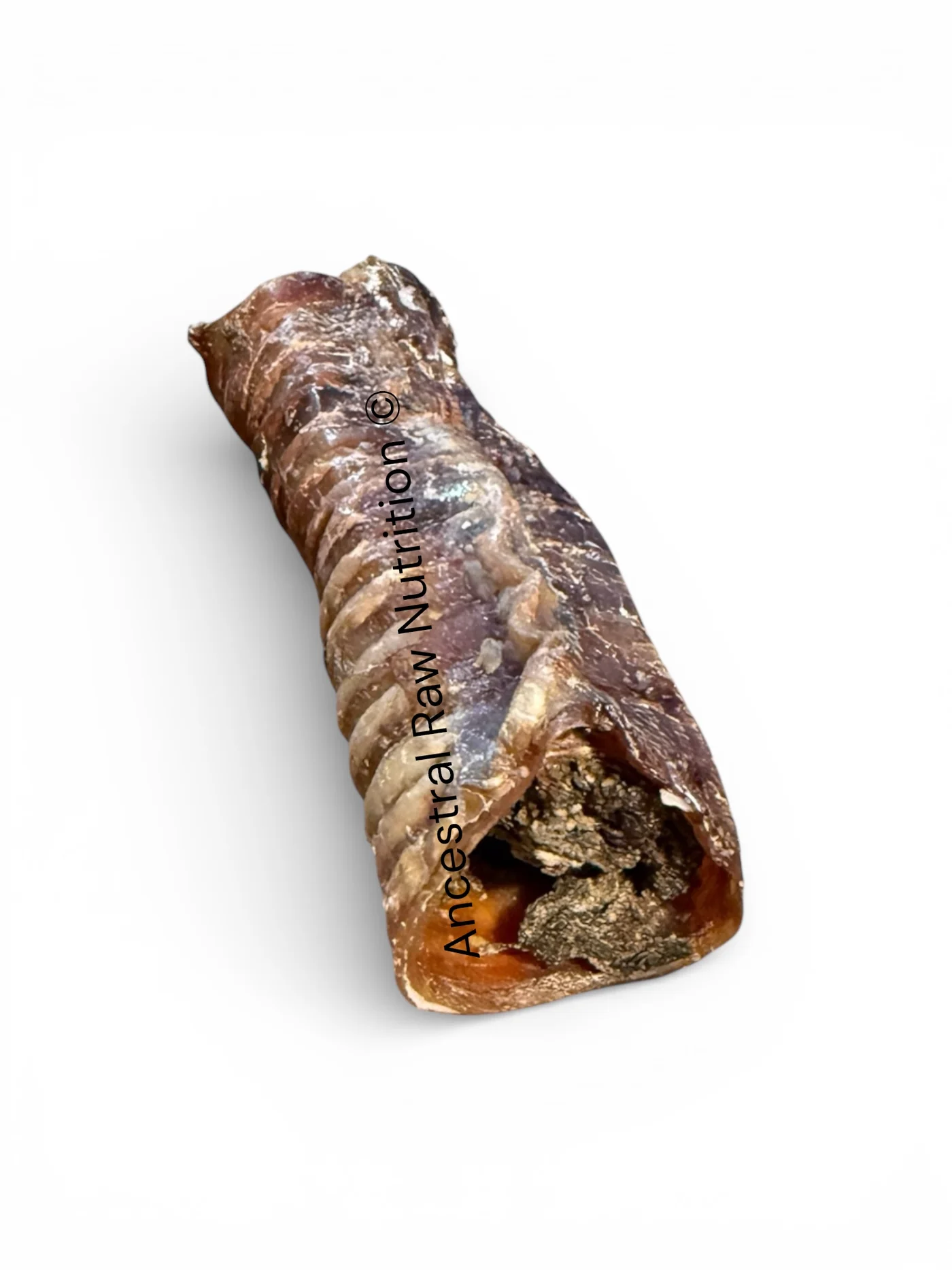 Ancestral Raw Nutrition beef trachea chew for dogs