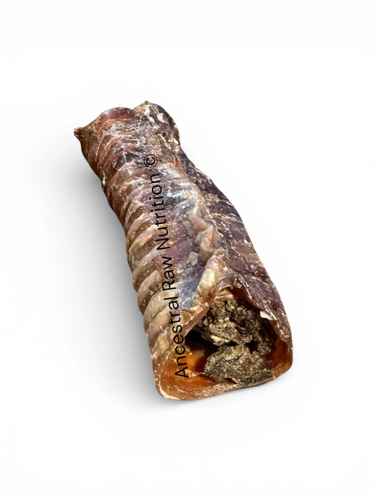 Ancestral Raw Nutrition beef trachea chew for dogs