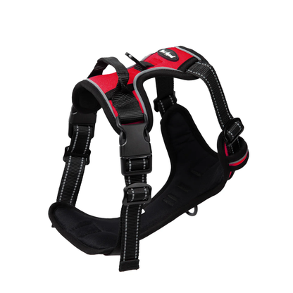 Reflective Control Harness