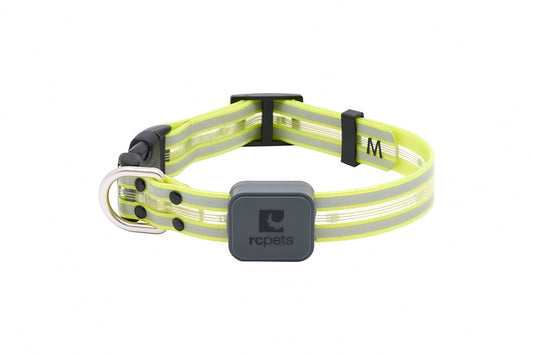 RC Pet Products Nova LED Light Collar in neon yellow with reflective stripes and a gray control box