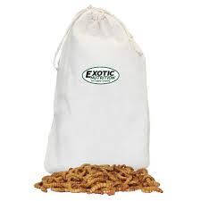 Large Live Mealworms (3/4")