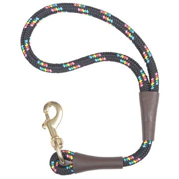 Black rope dog lead with rainbow flecks and brass clip