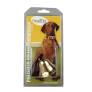 Packaging for a dog collar and leash set featuring a brown dog