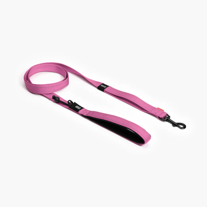 SOFT TRAINER LEASHES W/ TRAFFIC CONTROL- 6 FOOT