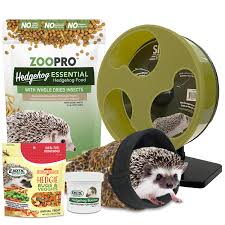 Hedgehog Home & Starter Pack