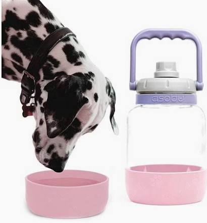 Dalmatian dog drinking from a pink Asobu Barkley 50oz water bottle with detachable bowl