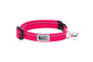 Kitty Breakaway Collar Primary