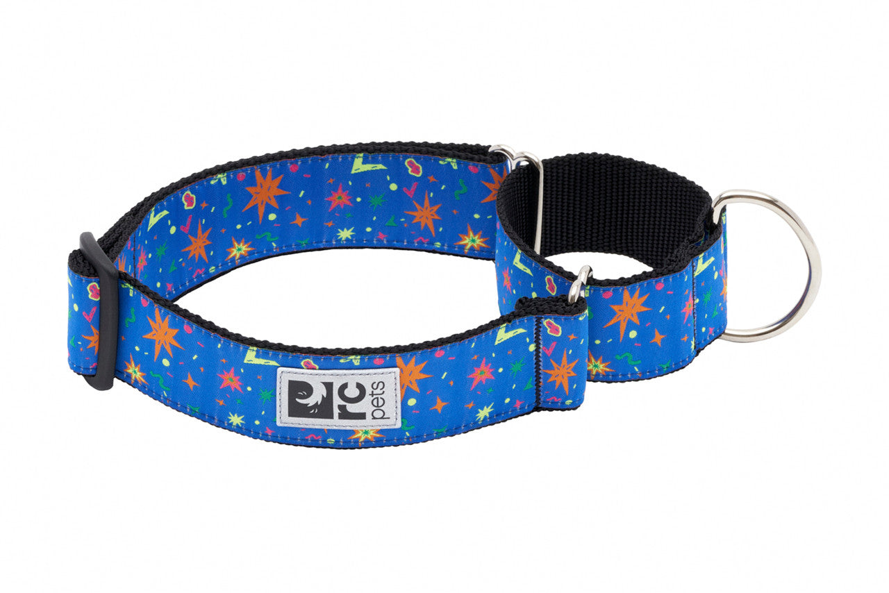 All Webbing Training Collar