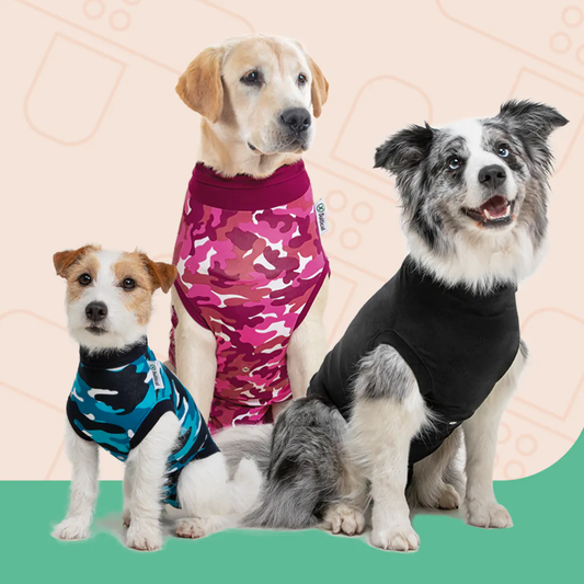 Recovery Suit- Dog