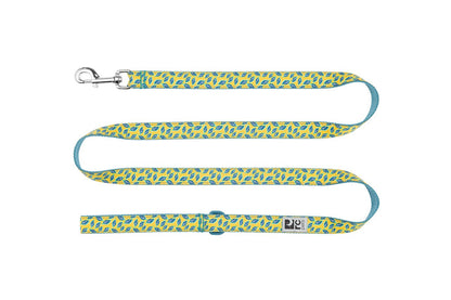 Patterned Leash