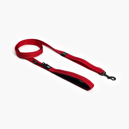 SOFT TRAINER LEASHES W/ TRAFFIC CONTROL- 6 FOOT